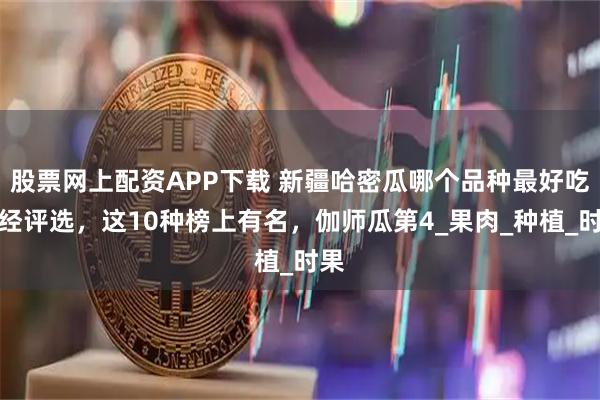 股票网上配资APP下载 新疆哈密瓜哪个品种最好吃?经评选,这10种榜上有名,伽师瓜第4_果肉_种植_时果