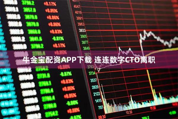 牛金宝配资APP下载 连连数字CTO离职