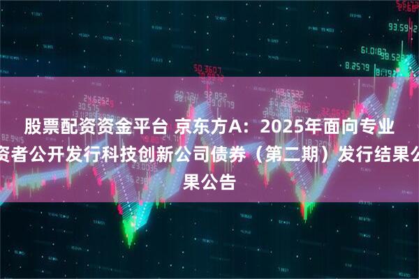 股票配资资金平台 京东方A：2025年面向专业投资者公开发行科技创新公司债券（第二期）发行结果公告