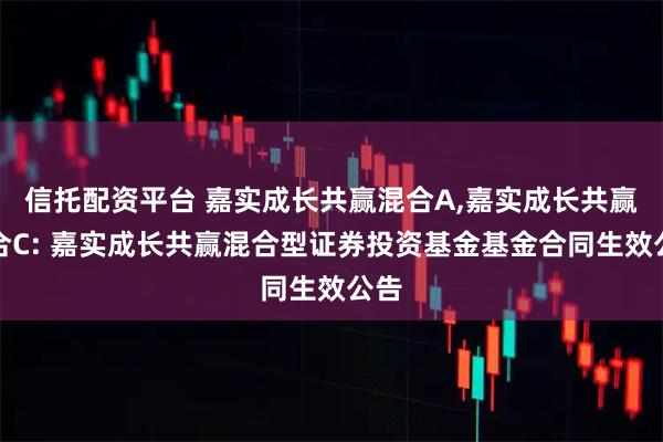 信托配资平台 嘉实成长共赢混合A,嘉实成长共赢混合C: 嘉实成长共赢混合型证券投资基金基金合同生效公告