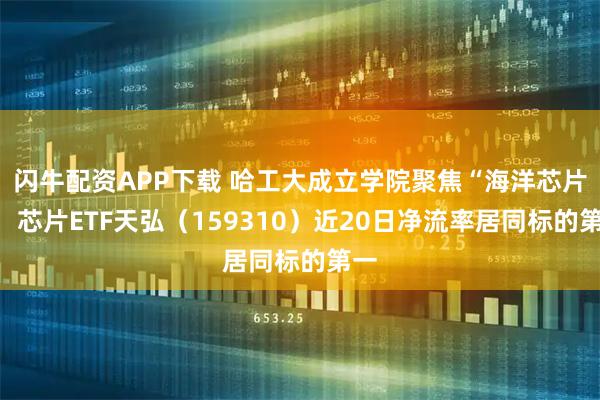 闪牛配资APP下载 哈工大成立学院聚焦“海洋芯片”，芯片ETF天弘（159310）近20日净流率居同标的第一